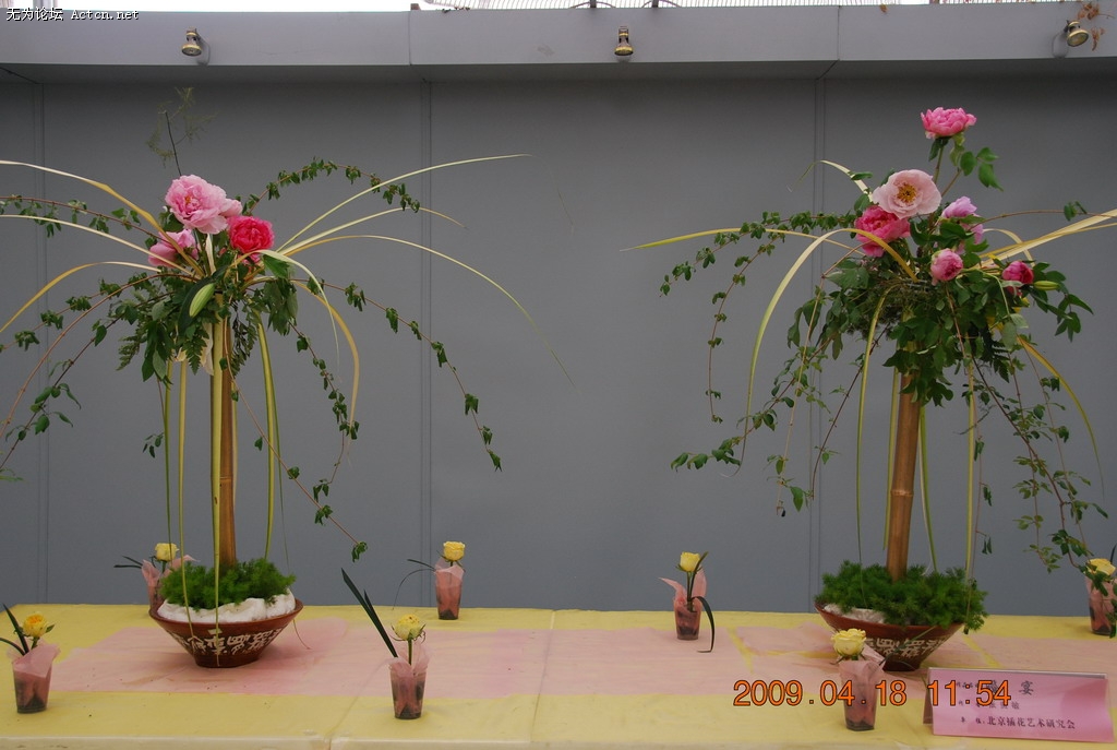 20090418 087.jpg