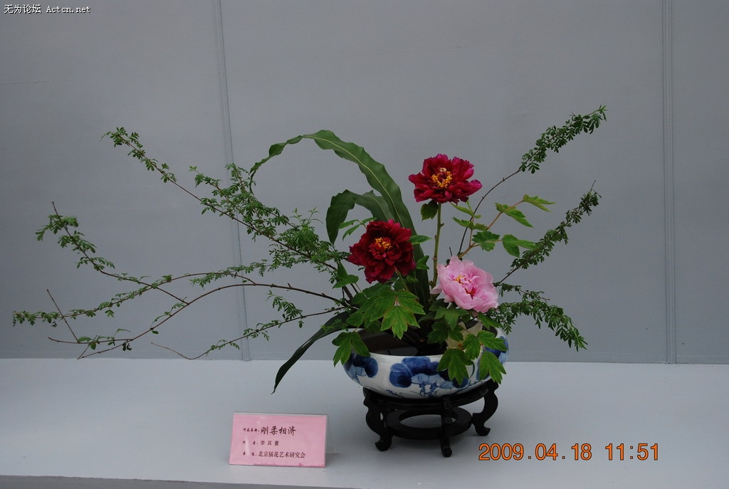 20090418 081.jpg