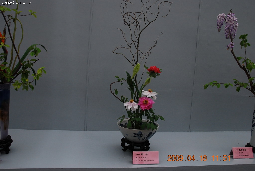 20090418 080.jpg