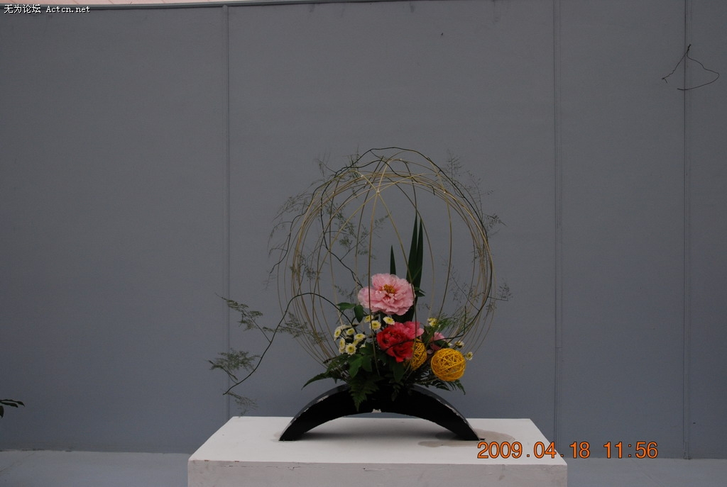 20090418 090.jpg