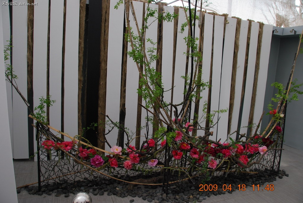 20090418 072.jpg