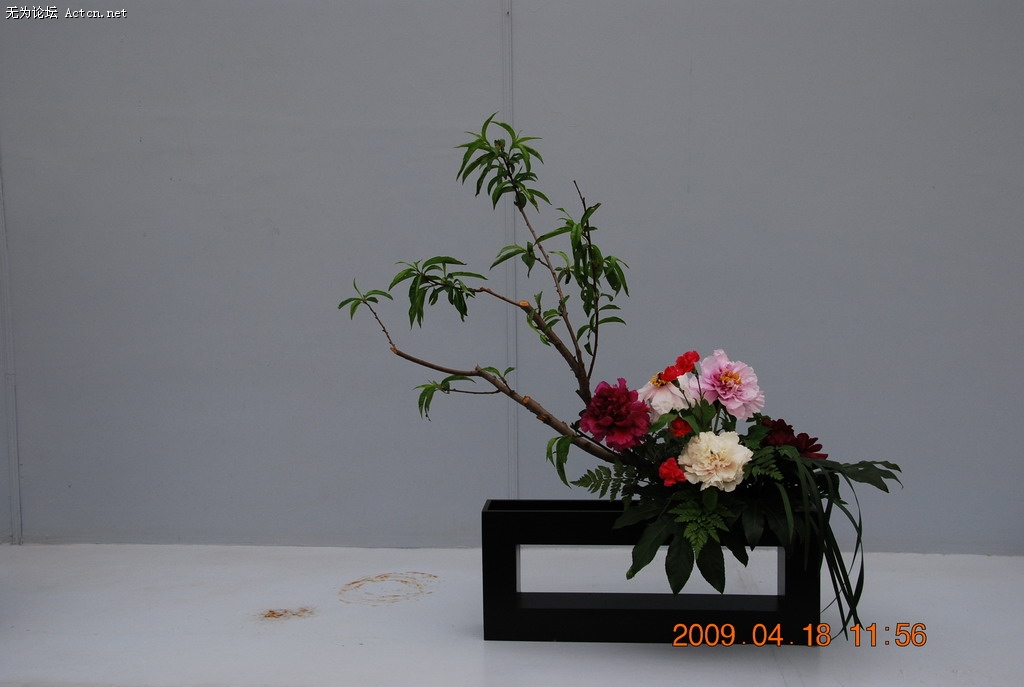 20090418 091.jpg