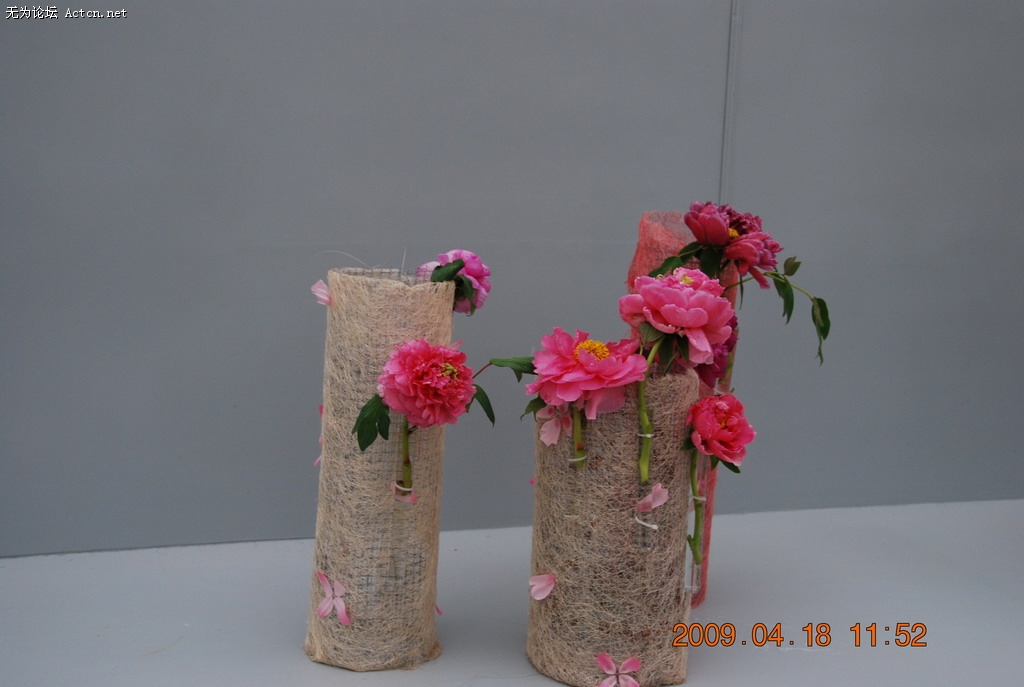 20090418 082.jpg