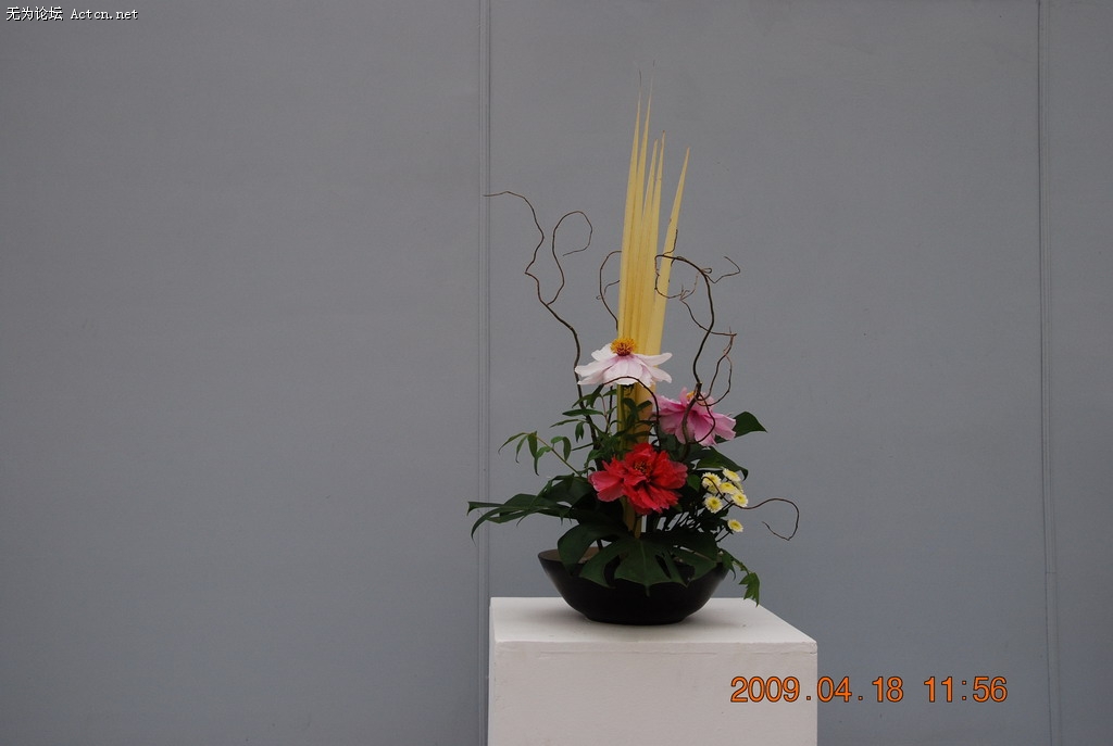 20090418 093.jpg