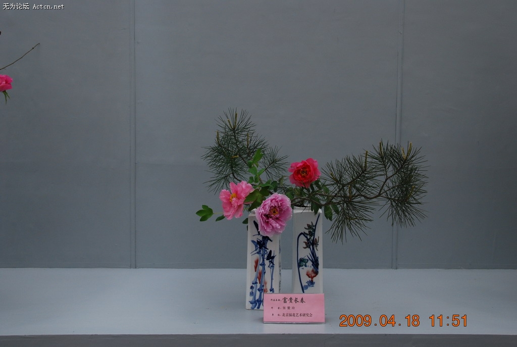 20090418 079.jpg