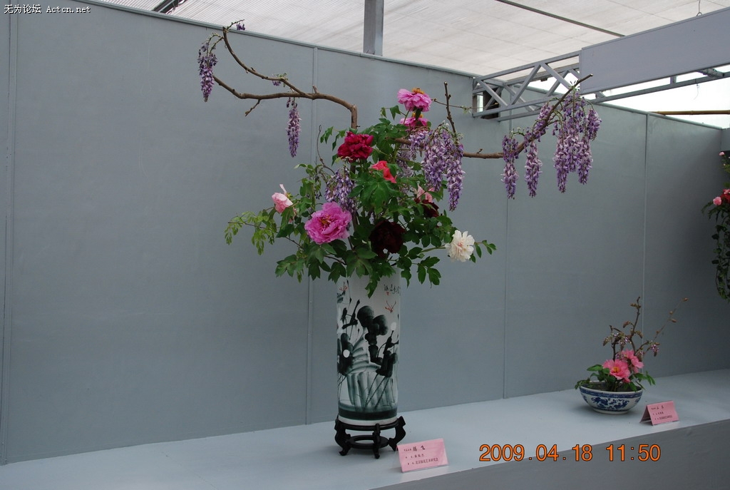 20090418 076.jpg
