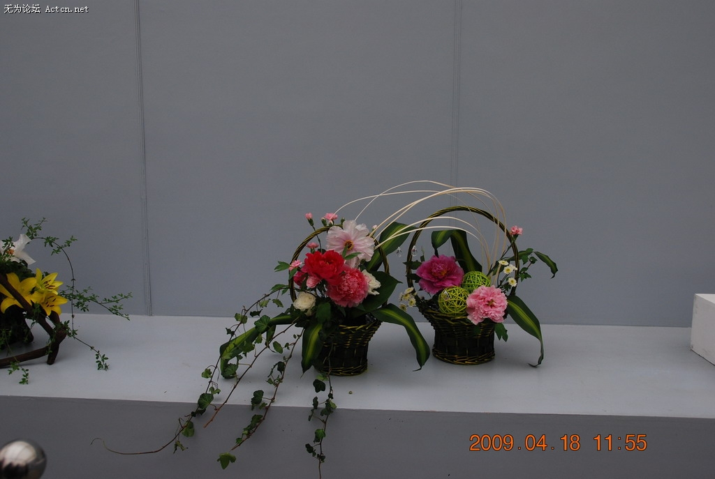 20090418 088.jpg