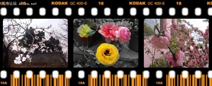 p_large_0KBw_.jpg