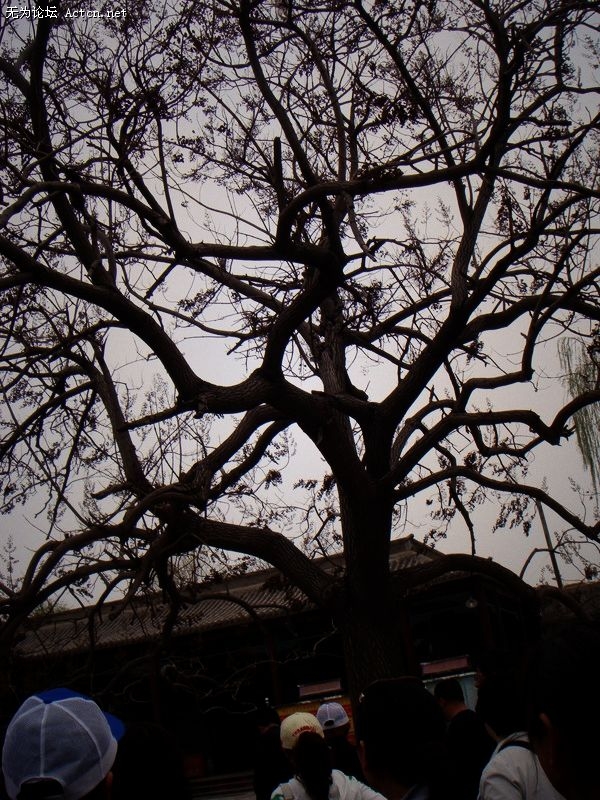 p_large_9UZ8_95103l206092.jpg