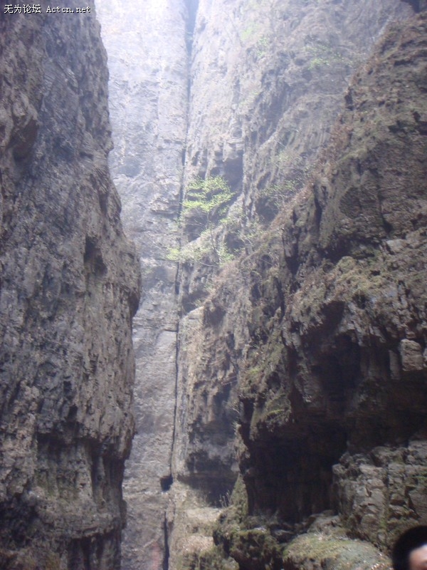 p_large_RPWY_95045g206092.jpg