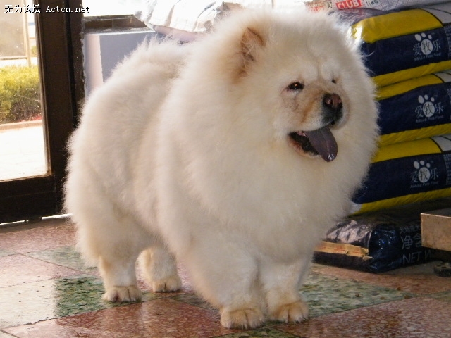 DSCF1249.JPG