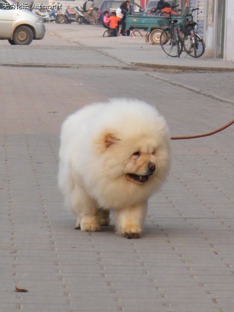 DSCF1248.JPG