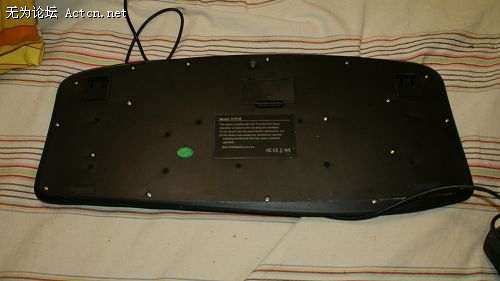 DSC00665.jpg