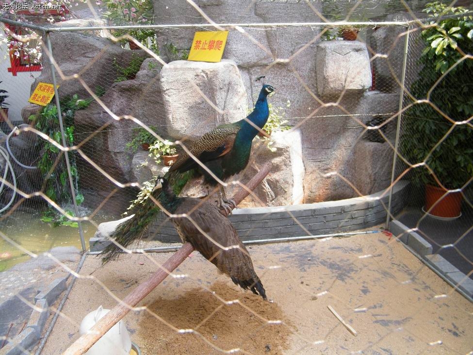 С DSCF0825.JPG
