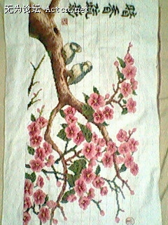 IMG0782A.jpg