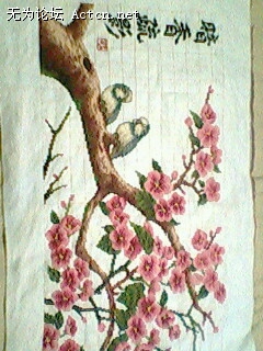 IMG0780A.jpg