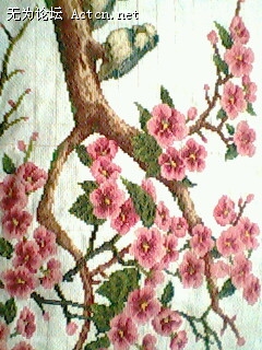 IMG0779A.jpg