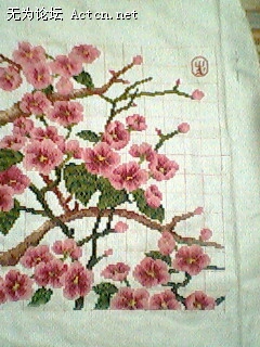 IMG0781A.jpg