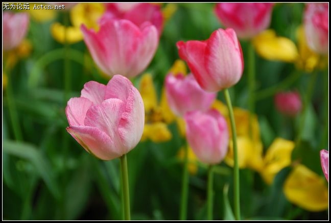 nEO_IMG_DSC_0057.jpg