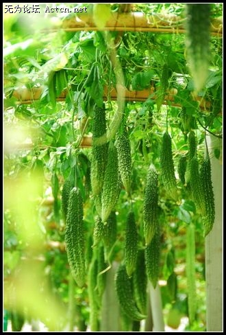 nEO_IMG_DSC_0034.jpg