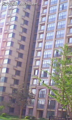 IMG0031A.jpg