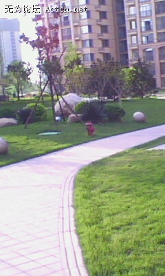 IMG0026A.jpg
