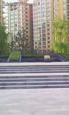 IMG0021A.jpg