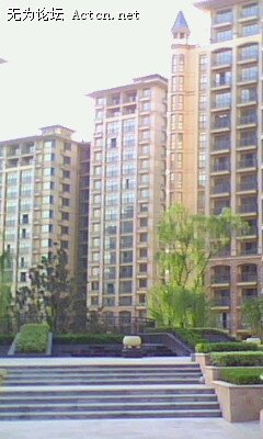 IMG0020A.jpg