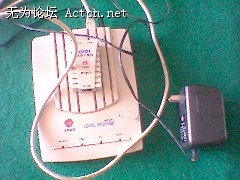 img007.jpg
