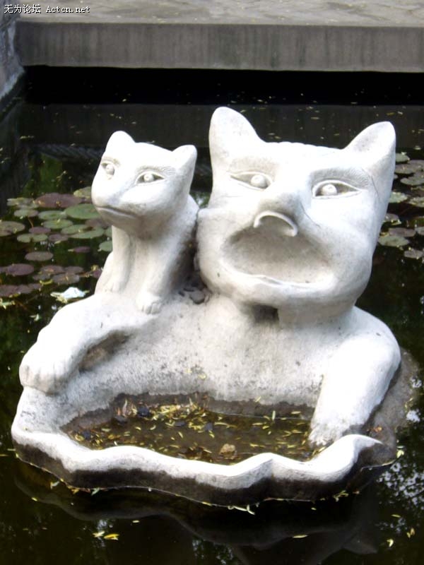 ,Ϊʲôիĺ궼