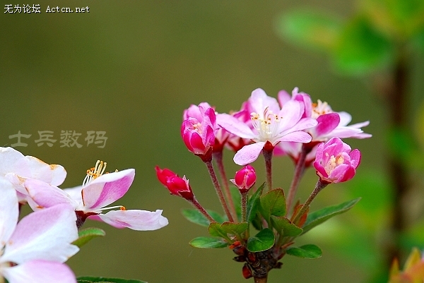 DSC_7938.JPG