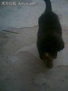 IMG0073A.jpg