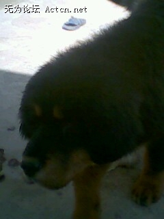 IMG0078A.jpg