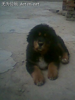 IMG0072A.jpg