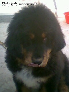 IMG0077A.jpg