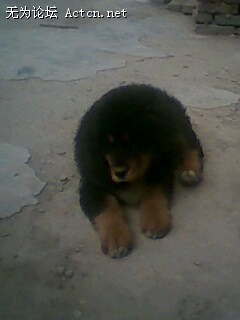 IMG0070A.jpg