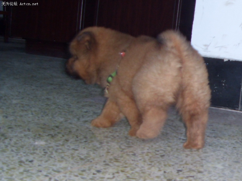 SDC10712_С.JPG