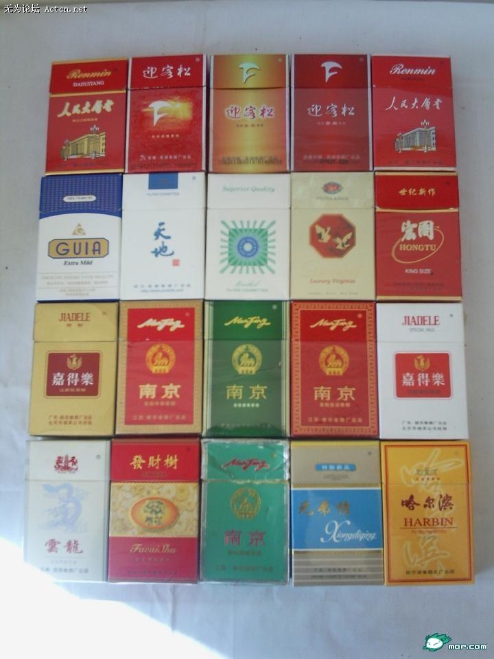 17_124031_b8cdae458cc0bc9.jpg
