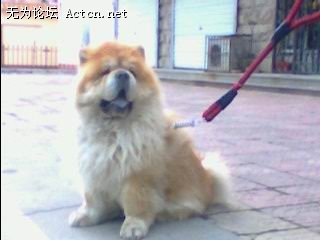 IMG0105A.jpg