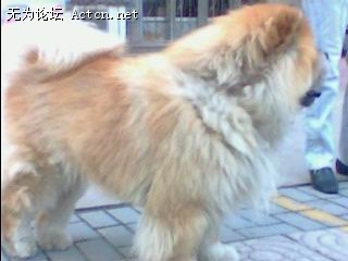IMG0106A.jpg