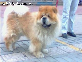 IMG0107A.jpg