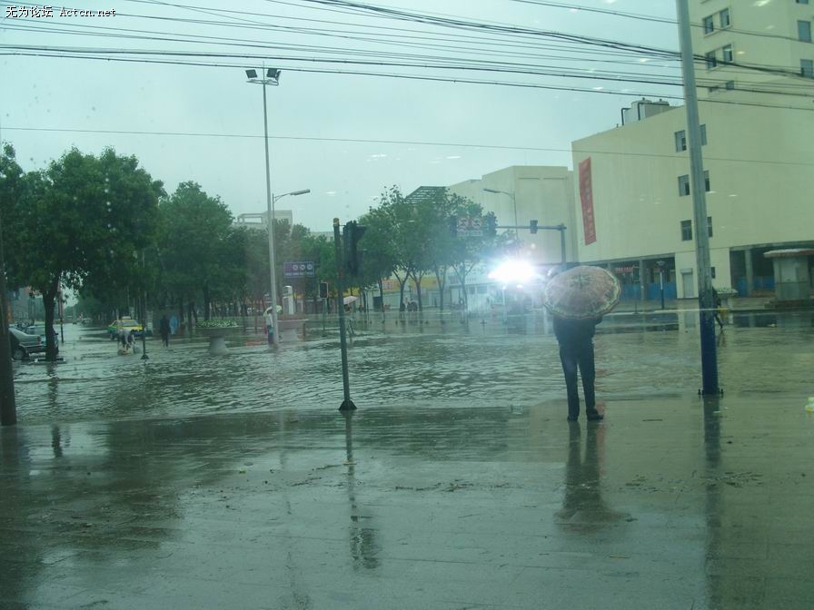 С SNV10237.JPG