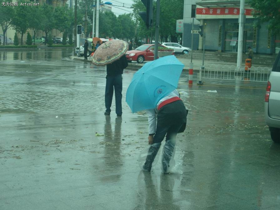  ȵȡ