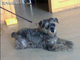  IMG0079A.jpg