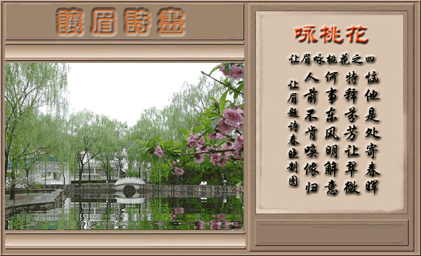 4.gif