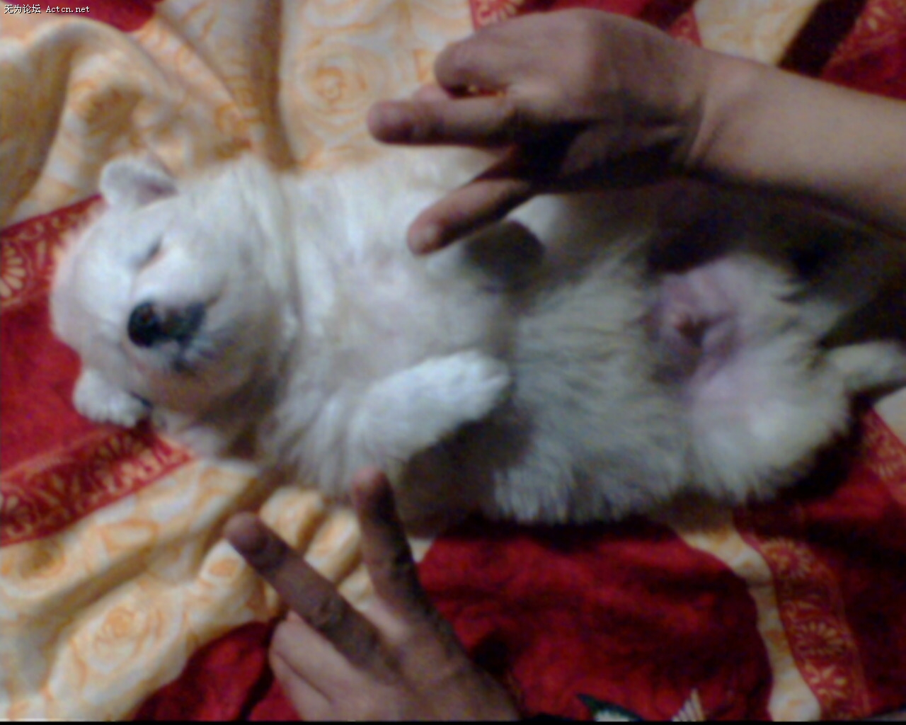 IMG0031A.jpg