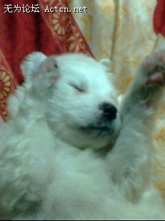 IMG0037A.jpg