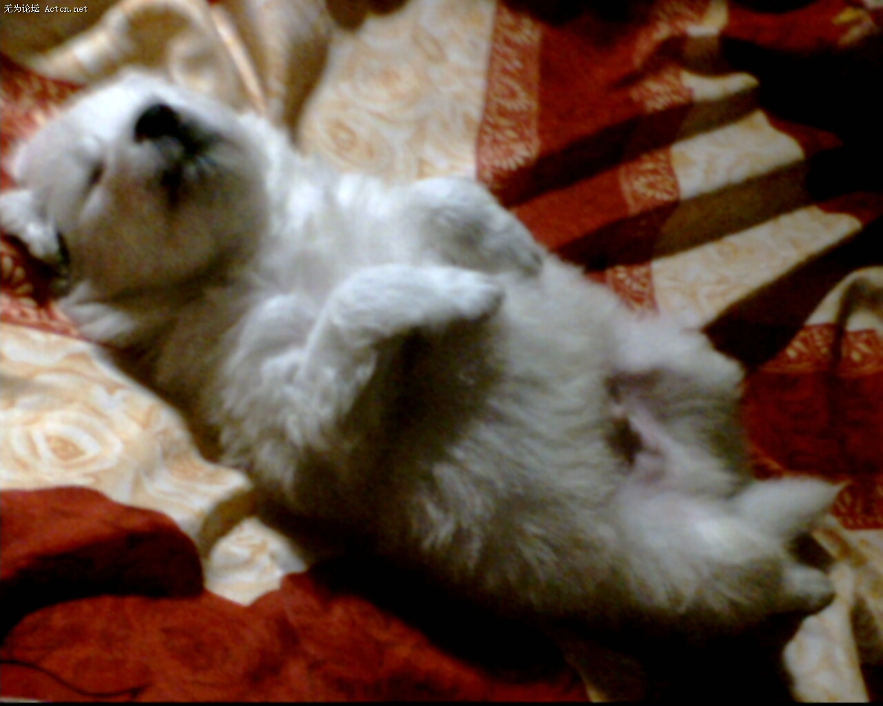IMG0027A.jpg