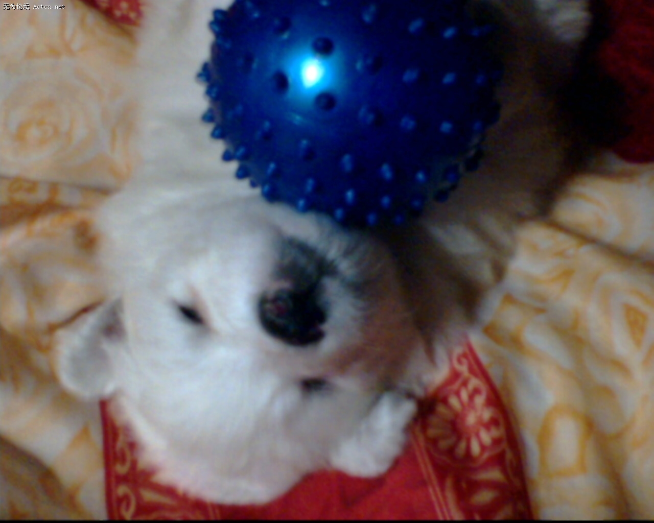 IMG0032A.jpg
