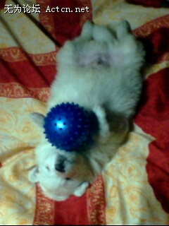 IMG0034A.jpg
